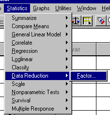 Factor analysis command in SPSS.